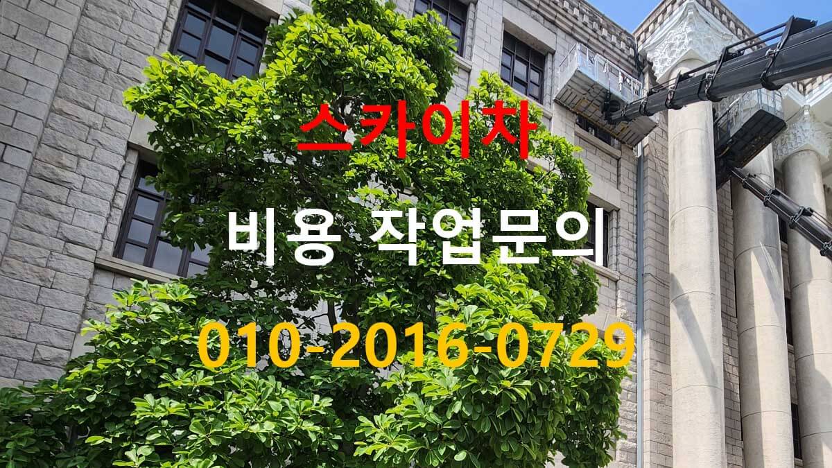 미산동 스카이차 차량 진입 구조 확인 모습