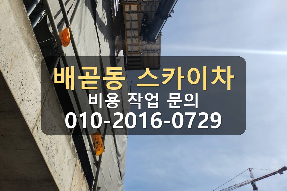 배곧동 스카이차 비용 작업 문의 현장사진