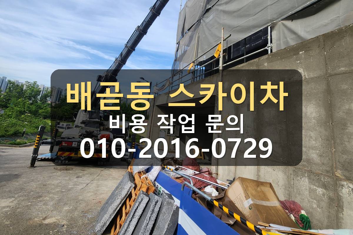 배곧동 스카이차 장비 위치 선정 현장