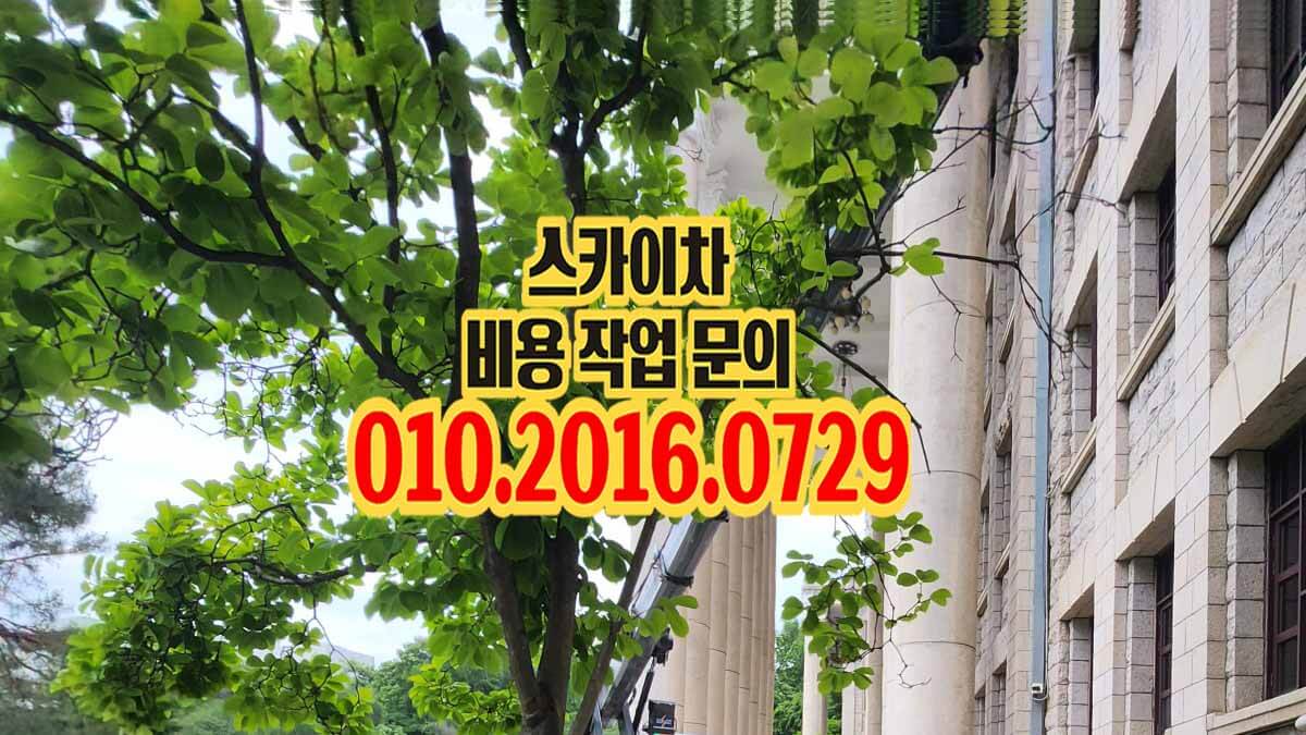 장곡동 스카이차 태양광 실측 작업