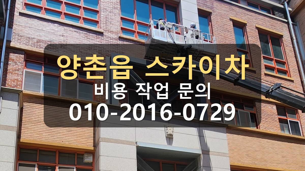 양촌읍 스카이차 판넬작업 외벽 상태 확인