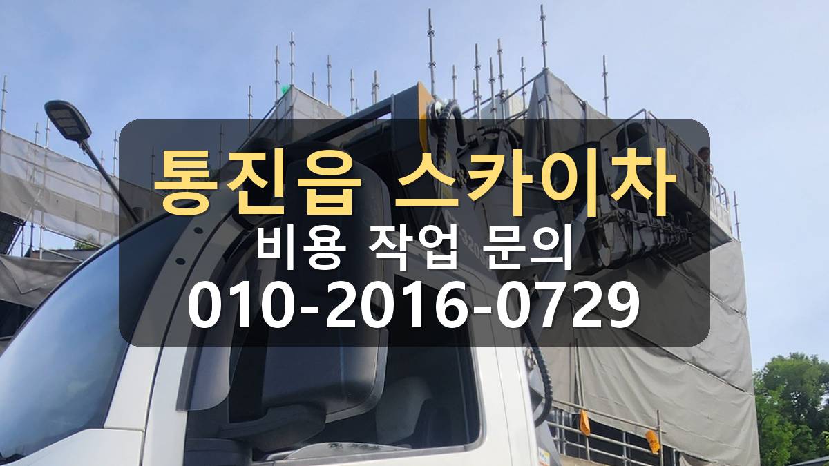 통진읍 스카이차 전선 간섭 확인